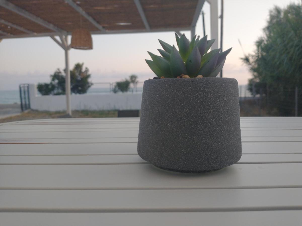 Mini Villas Avra 케라토캄보스 객실 사진