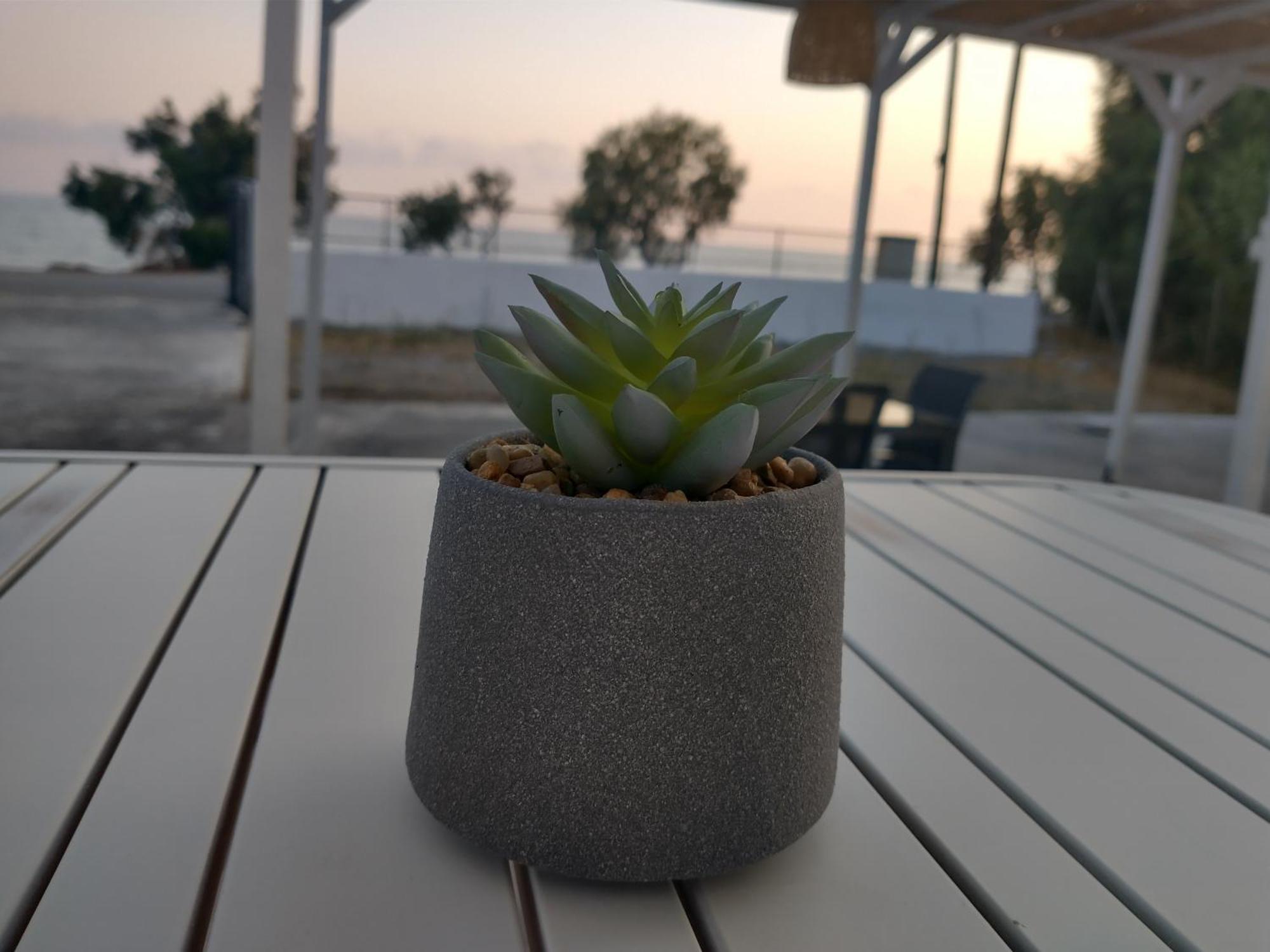 Mini Villas Avra 케라토캄보스 객실 사진